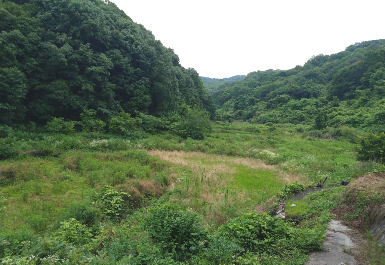 四万十市鵜ノ江の現地調査